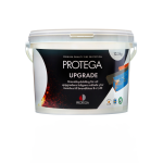 Protega-Upgrade.png